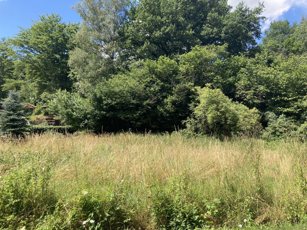 Grundstück in Rhein-Sieg, Germany, Nr. 177962