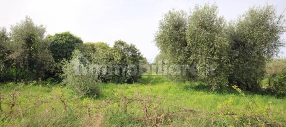 Studio in Castagneto Carducci, Italy No. 142490 5