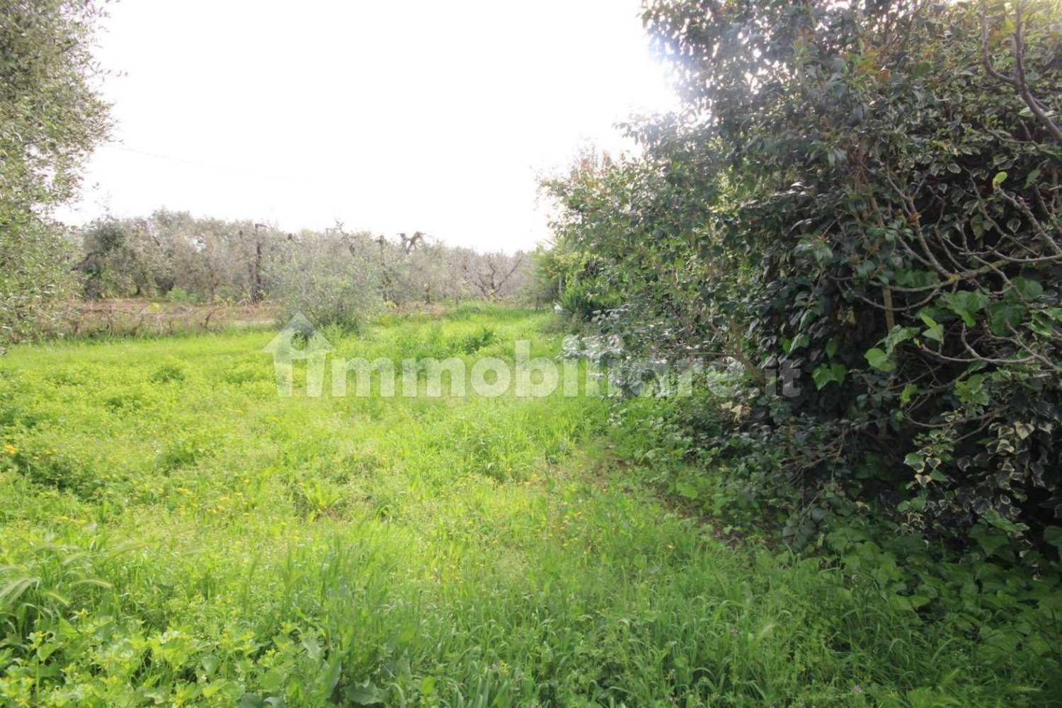 Studio in Castagneto Carducci, Italy No. 142490