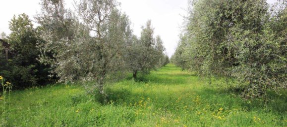 Studio in Castagneto Carducci, Italy No. 142490 3