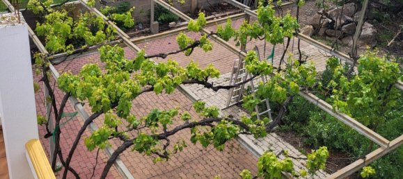 4 bedrooms House in Albufeira, Portugal No. 131787 28