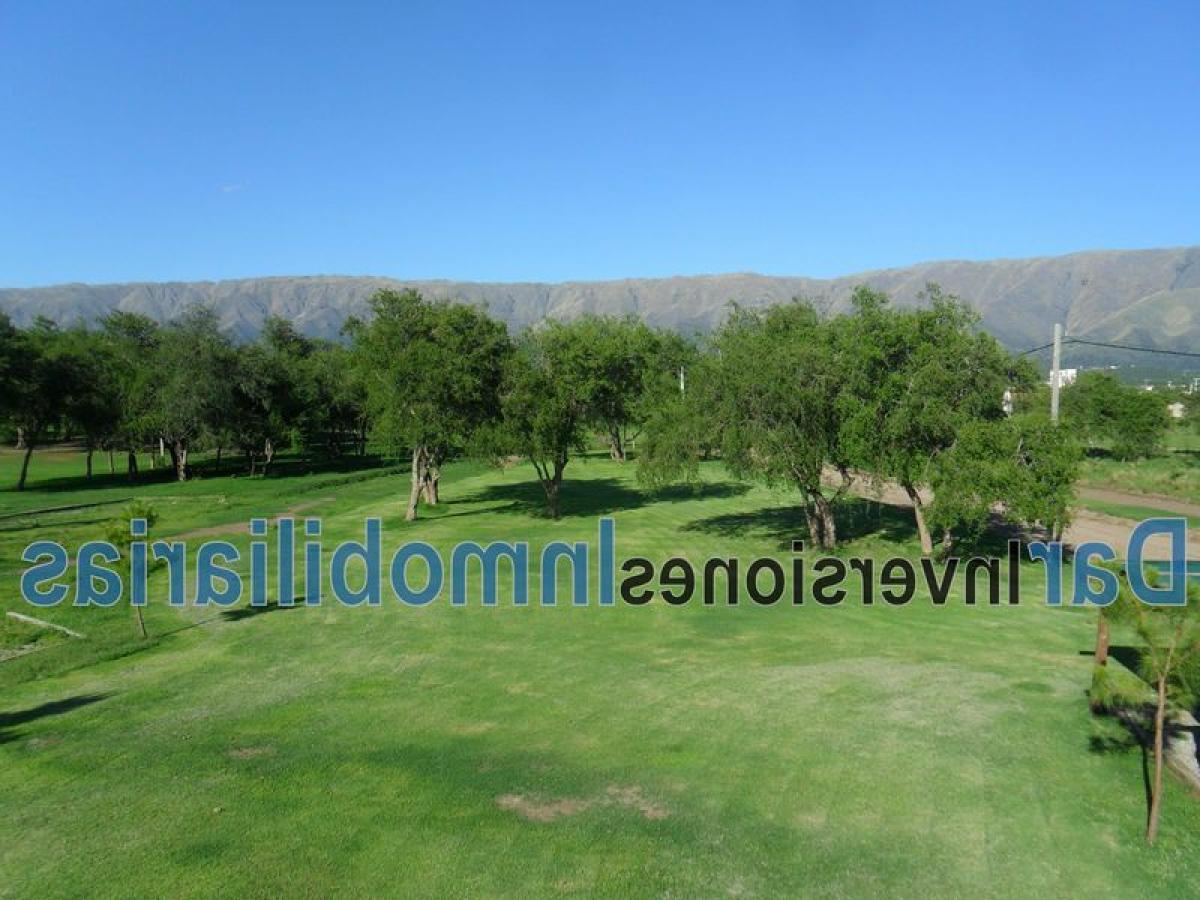  Land in San Luis, Argentina No. 47521