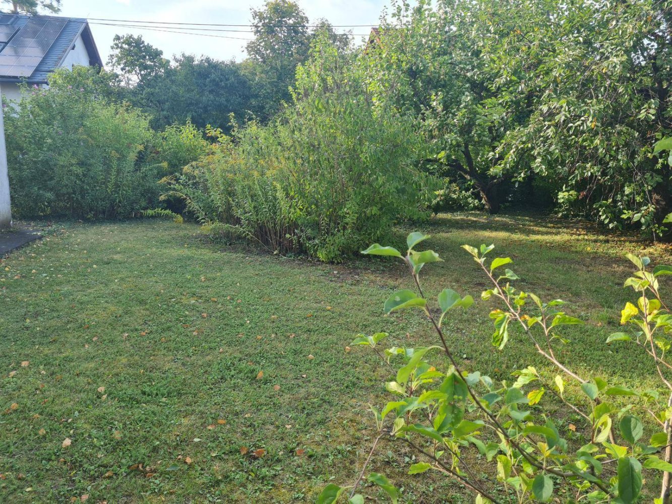 Terrain à Gerasdorf bei Wien, Austria No. 164568