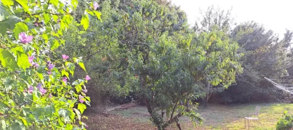 Casa T4 em Deux-Sevres, France N.º 333752 15