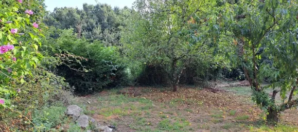 Casa T4 em Deux-Sevres, France N.º 333752 16