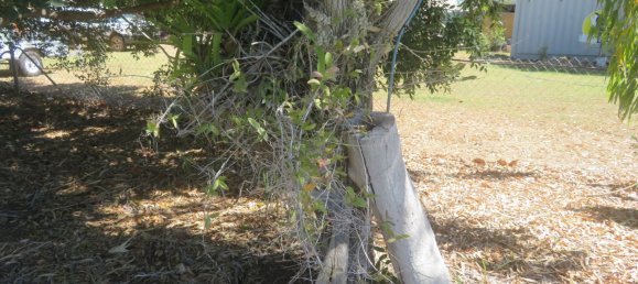 3 Schlafzimmer Haus in Chillagoe, Australia, Nr. 396 12