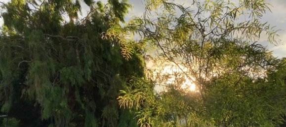 3 Schlafzimmer Haus in Chillagoe, Australia, Nr. 396 11