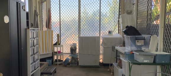 3 Schlafzimmer Haus in Chillagoe, Australia, Nr. 396 5