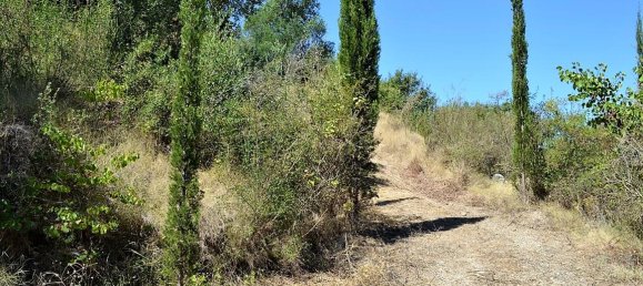 Hotel em Corfu, Greece 4343 m² N.º 4661 5