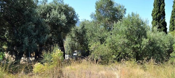 Hotel em Corfu, Greece 4343 m² N.º 4661 8