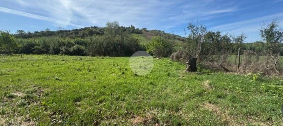 Grundstück in Monterotondo, Italy 4910m², Nr. 343357 12