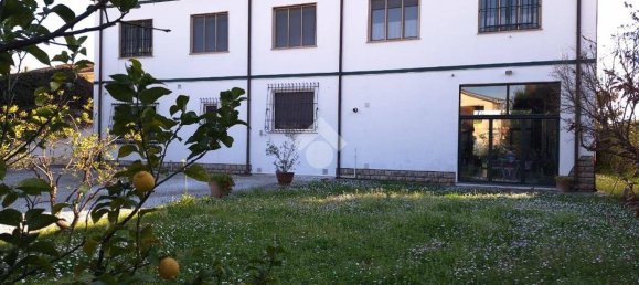 Villa de 4 dormitorios en Vecchiano, Italy No. 186165 12