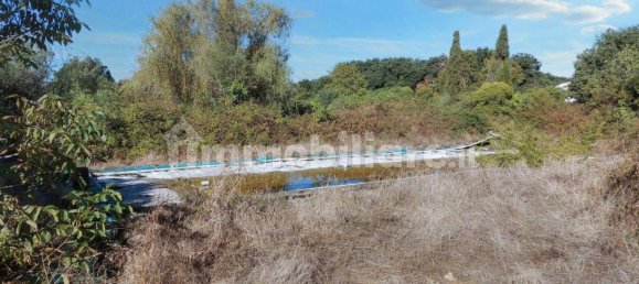 3 bedrooms House in Anguillara Sabazia, Italy No. 200084 7