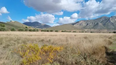 18399m² Land in Abanilla, Spain No. 240086