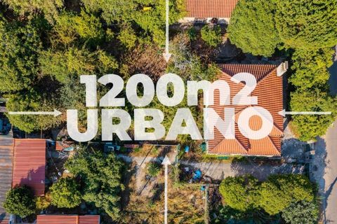 Casa de 5 dormitorios en Rio de Mouro, Portugal No. 291301