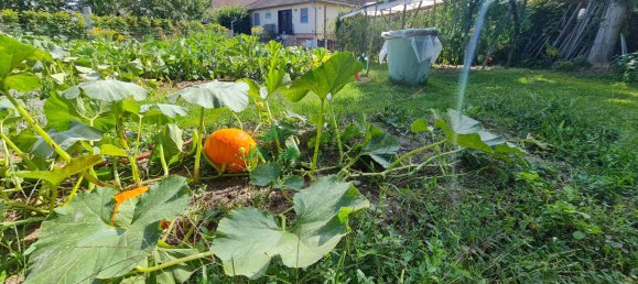 5 bedrooms House in Sierentz, France No. 89738 26