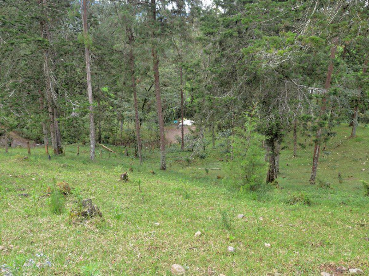  Land in Antioquia, Colombia No. 60