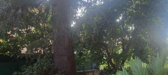 5-Zimmer Wohnung in Rome, Italy, Nr. 222409 2