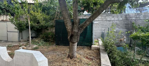 5 rooms Apartment in Celenza sul Trigno, Italy No. 306445 32