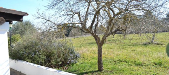 3 غرف نوم منزل في Ostuni, Italy رقم 67479 13