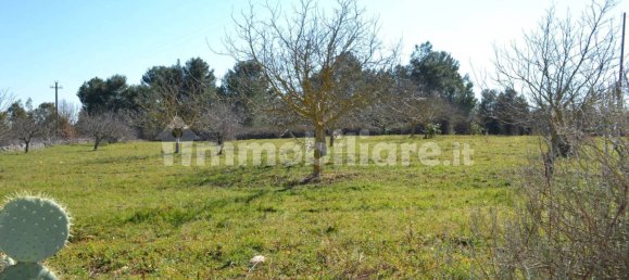 3 غرف نوم منزل في Ostuni, Italy رقم 67479 23