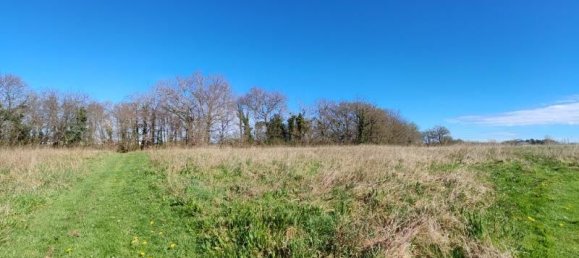 5 bedrooms House in Dax, France No. 102085 14