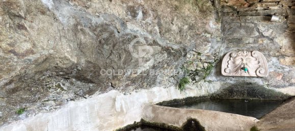 12 rooms Villa in Cannero Riviera, Italy No. 324590 32