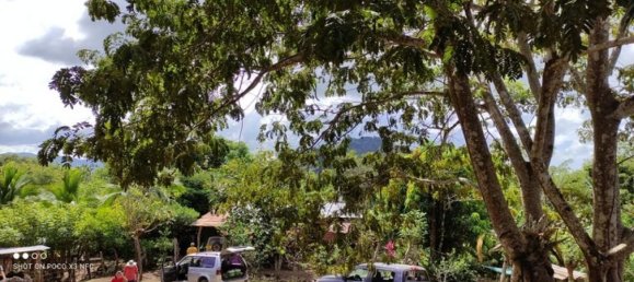 Земельный участок в Пунтаренас, Коста-Рика № 1816 6