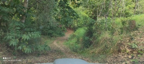 Земельный участок в Пунтаренас, Коста-Рика № 1816 5