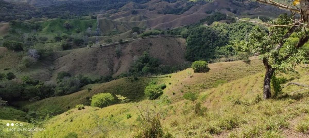 Земельный участок в Пунтаренас, Коста-Рика № 1816