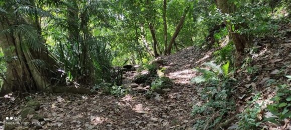 Земельный участок в Пунтаренас, Коста-Рика № 1816 2