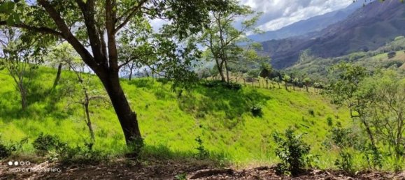 Земельный участок в Пунтаренас, Коста-Рика № 1816 4