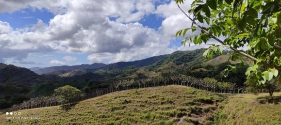 Земельный участок в Пунтаренас, Коста-Рика № 1816 3