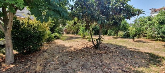 2000m² Hotel in Chalkidiki, Greece No. 3866 3