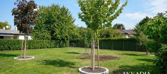 3-Zimmer Stadthaus in Groß-Enzersdorf, Austria, Nr. 256931 49