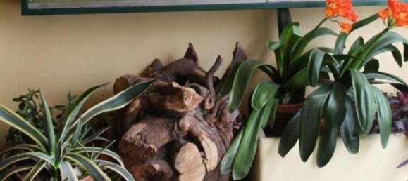 4 rooms House in Klosterneuburg, Austria No. 234446 26