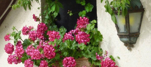 4 rooms House in Klosterneuburg, Austria No. 234446 30