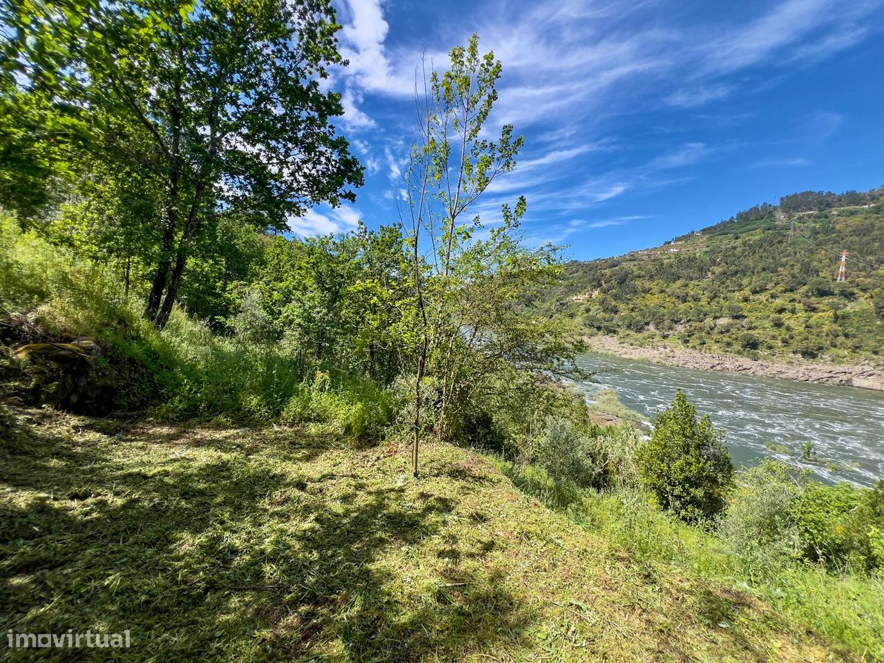 23046m² Land in Sao Cristovao de Nogueira, Portugal No. 252899