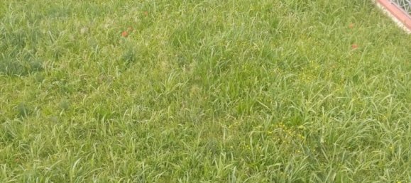 4غرفة منزل في Carrara, Italy رقم 48144 24