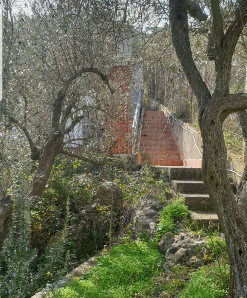 Вилла с 3 комнатами в Монреале, Италия № 256303