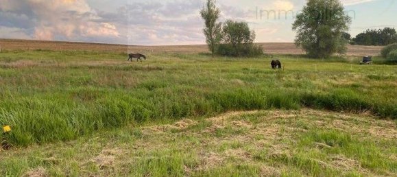 Terreno en Uckermark, Germany No. 148949 5