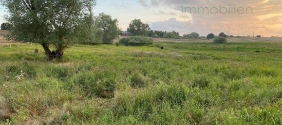 Terreno en Uckermark, Germany No. 148949 3