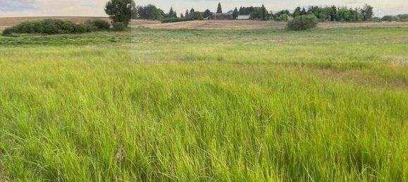 Terreno en Uckermark, Germany No. 148949 6