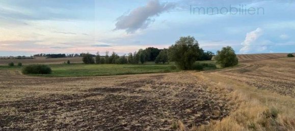 Terreno en Uckermark, Germany No. 148949 7