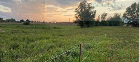 Terreno en Uckermark, Germany No. 148949 4