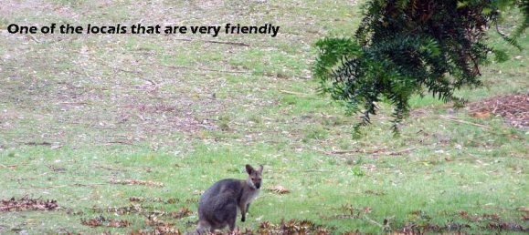 4725m² Land in Bunya Mountains, Australia No. 1180 5