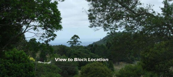 4725m² Land in Bunya Mountains, Australia No. 1180 2