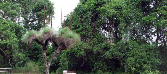 4725m² Land in Bunya Mountains, Australia No. 1180 3