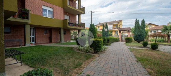 1 bedroom Apartment in Cervere, Italy No. 124489 5