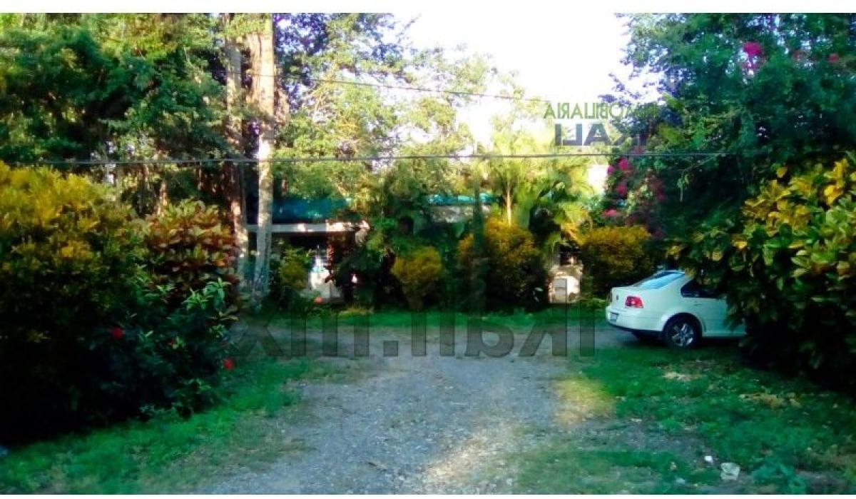  قطعة أرض في Veracruz, Mexico رقم 202844